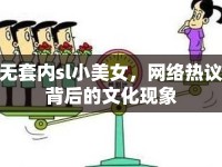 無(wú)套內(nèi)sl小美女，網(wǎng)絡(luò)熱議背后的文化現(xiàn)象