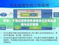 警惕！下體出現(xiàn)黃綠色液體流出的背后真相與應(yīng)對(duì)策略