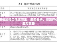 增壓機(jī)出漿口濃漿流出，原因分析、影響評(píng)估及應(yīng)對(duì)策略