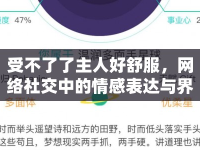 受不了了主人好舒服，網(wǎng)絡(luò)社交中的情感表達與界限