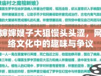 嬸嬸嫂子大狙饅頭頭澀，網(wǎng)絡(luò)文化中的趣味與爭議