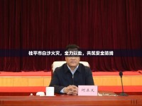 桂平市白沙火災(zāi)，全力以赴，共筑安全防線
