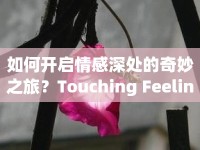 如何開啟情感深處的奇妙之旅？Touching Feeling攻略揭秘！