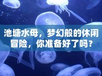 池塘水母，夢幻般的休閑冒險，你準(zhǔn)備好了嗎？