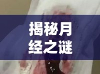 揭秘月經(jīng)之謎，爛肉組織的真相與誤解