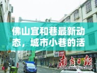 佛山宜和巷最新動(dòng)態(tài)，城市小巷的活力與變遷