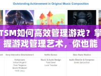 TSM如何高效管理游戲？掌握游戲管理藝術(shù)，你也能成為游戲高手！