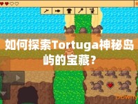 如何探索Tortuga神秘島嶼的寶藏？