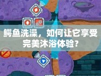 鱷魚洗澡，如何讓它享受完美沐浴體驗？