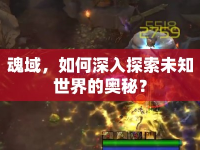 魂域，如何深入探索未知世界的奧秘？