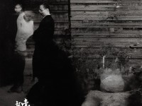 夢幻手游新區(qū)返利如何輕松獲?。拷颐胤道麠l件！