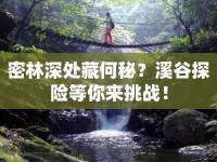 密林深處藏何秘？溪谷探險(xiǎn)等你來挑戰(zhàn)！