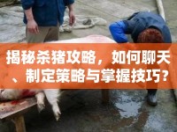 揭秘殺豬攻略，如何聊天、制定策略與掌握技巧？