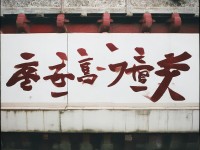 青青草原伊人網(wǎng)，如何實現(xiàn)綠色生態(tài)與人文關(guān)懷的完美融合？