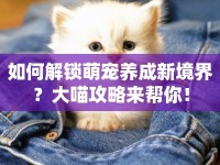 如何解鎖萌寵養(yǎng)成新境界？大喵攻略來幫你！