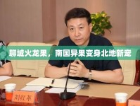 聊城火龍果，南國異果變身北地新寵