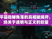 黃平縣隱秘角落的真相被揭開，一場關(guān)于透明與正義的較量