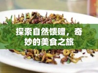 探索自然饋贈(zèng)，奇妙的美食之旅