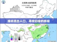 濰坊流出人口，尋找歸宿的旅程