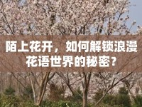 陌上花開，如何解鎖浪漫花語(yǔ)世界的秘密？