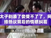 太子別添了妾受不了了，網(wǎng)絡(luò)熱議背后的情感糾葛