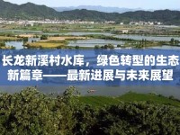 長(zhǎng)龍新溪村水庫，綠色轉(zhuǎn)型的生態(tài)新篇章——最新進(jìn)展與未來展望