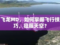 飛龍MD，如何掌握飛行技巧，征服天空？