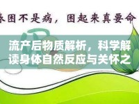 流產(chǎn)后物質(zhì)解析，科學(xué)解讀身體自然反應(yīng)與關(guān)懷之道