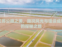 江蘇公路之美，路況風(fēng)光與建設(shè)成就的探秘之旅