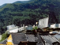 337p亞洲人術(shù)藝術(shù)：如何顛覆傳統(tǒng)？未來趨勢何在？
