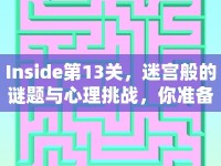 Inside第13關(guān)，迷宮般的謎題與心理挑戰(zhàn)，你準(zhǔn)備好了嗎？