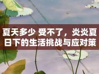 夏天多少 受不了，炎炎夏日下的生活挑戰(zhàn)與應對策略