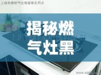 揭秘燃?xì)庠詈谒鞒稣嫦?，安全與維護(hù)并重