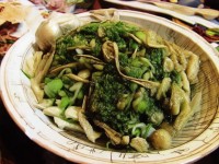 夢幻手游平民玩家如何打造傳奇？