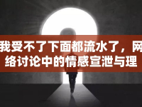我受不了下面都流水了，網(wǎng)絡(luò)討論中的情感宣泄與理性思考