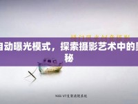 自動曝光模式，探索攝影藝術(shù)中的奧秘