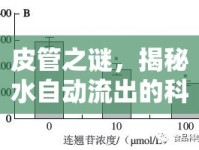 皮管之謎，揭秘水自動流出的科學奧秘