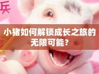 小豬如何解鎖成長(zhǎng)之旅的無(wú)限可能？