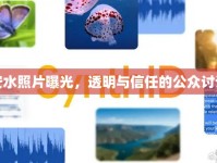 安水照片曝光，透明與信任的公眾討論
