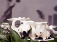 紅顏相伴，江湖更精彩？揭秘手游中的紅顏系統(tǒng)！