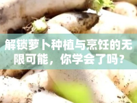 解鎖蘿卜種植與烹飪的無限可能，你學會了嗎？