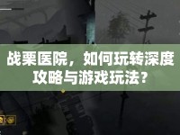 戰(zhàn)栗醫(yī)院，如何玩轉(zhuǎn)深度攻略與游戲玩法？