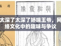 太深了太深了嬌喘王爺，網(wǎng)絡(luò)文化中的趣味與爭議