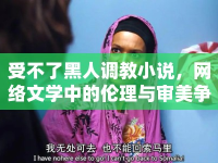 受不了黑人調(diào)教小說，網(wǎng)絡(luò)文學(xué)中的倫理與審美爭議