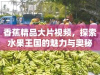 香蕉精品大片視頻，探索水果王國的魅力與奧秘