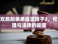 雙胞胎弟弟強堅嫂子2，倫理與法律的碰撞