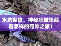 水坑探險(xiǎn)，神秘水域里藏著怎樣的奇妙之旅？