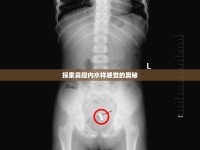 探索鼻腔內(nèi)水樣感覺的奧秘