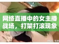 網(wǎng)絡(luò)直播中的女主播戰(zhàn)場，打架打滾現(xiàn)象探析