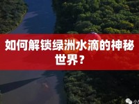 如何解鎖綠洲水滴的神秘世界？